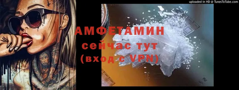 где найти наркотики  Мамоново  Amphetamine 98% 