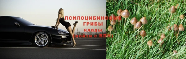 прущие крисы Няндома