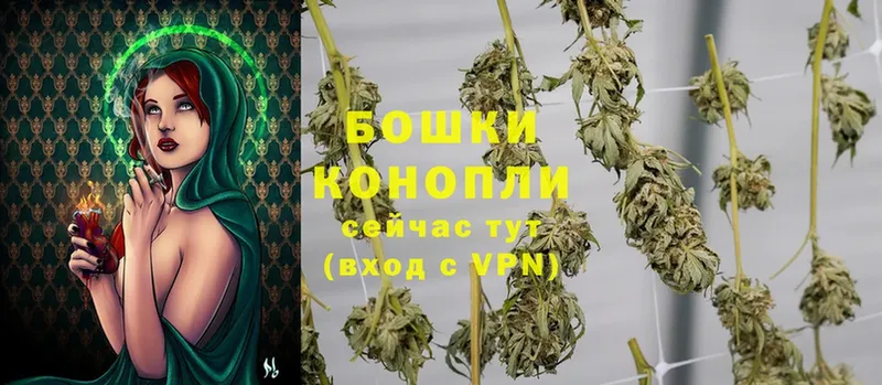 Канабис Ganja  хочу   Мамоново 